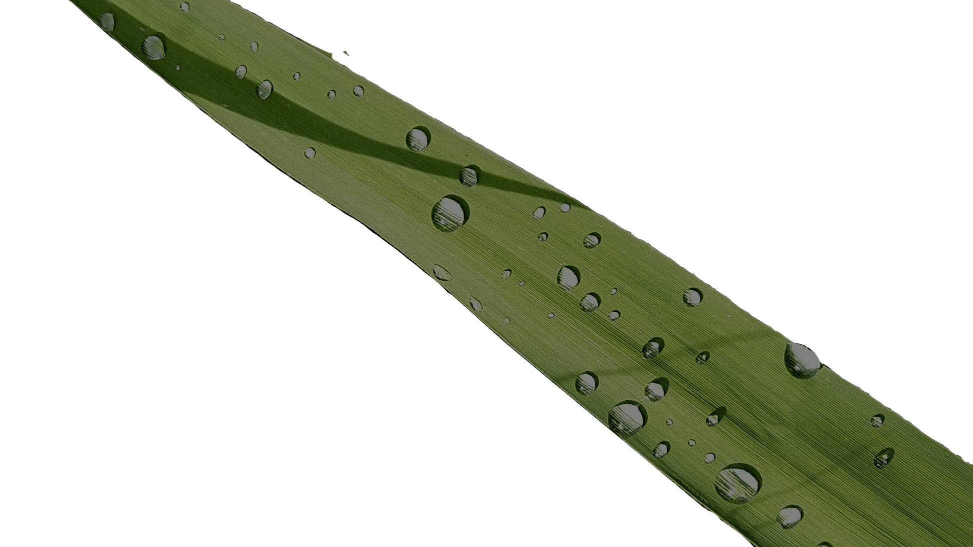 Achtergrond blad