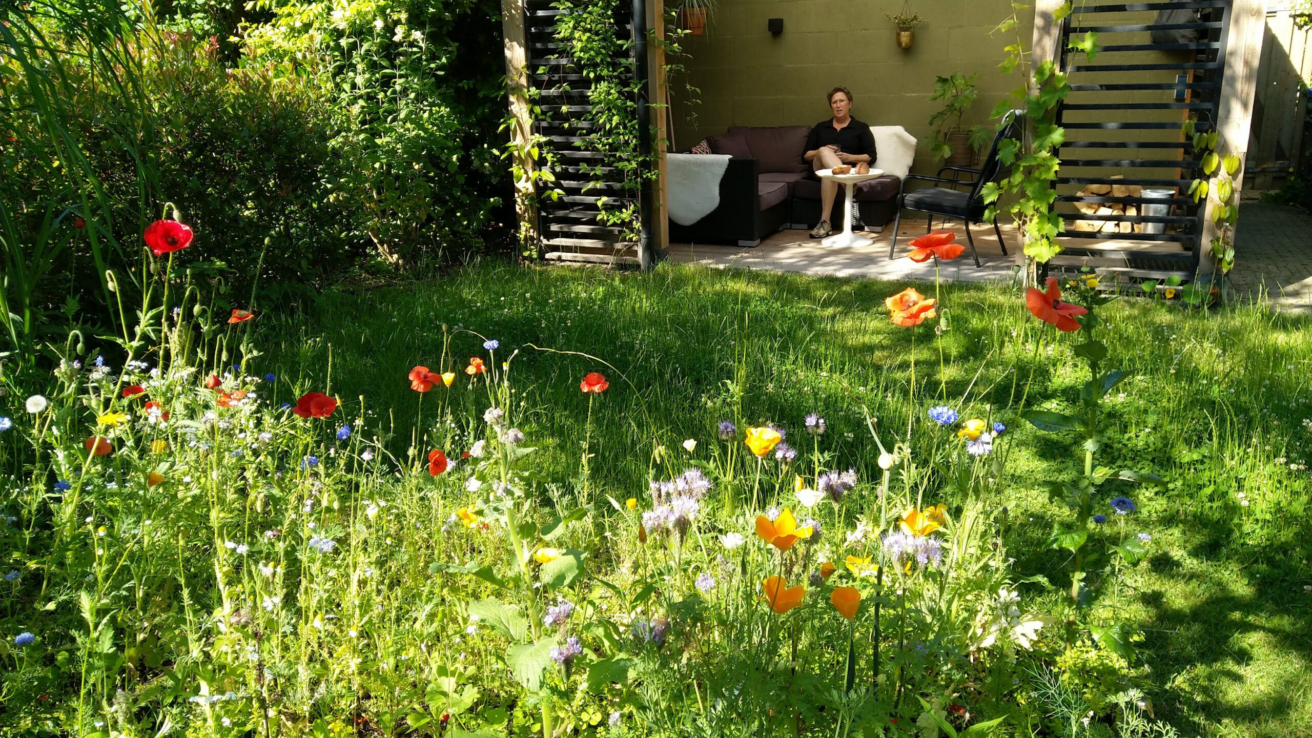 veldbloemen en veranda
