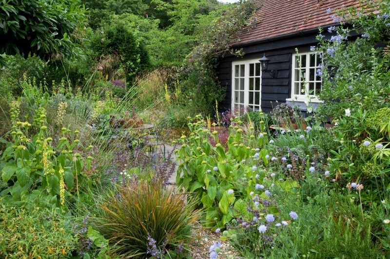 Wilde tuin